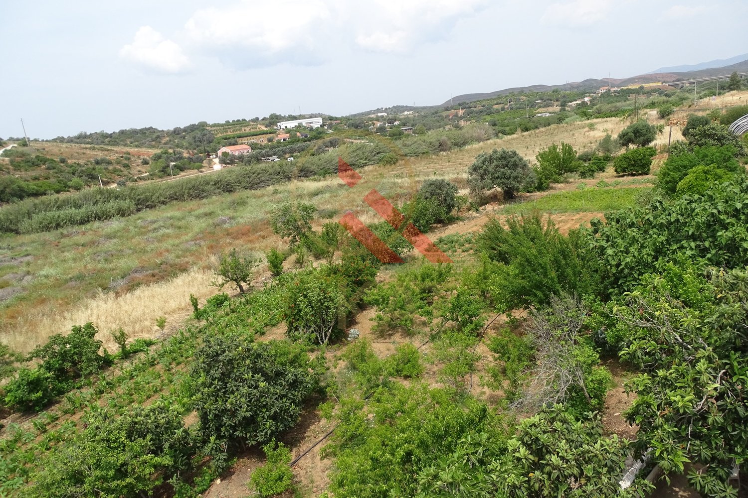 Propriedade à Venda na Figueira