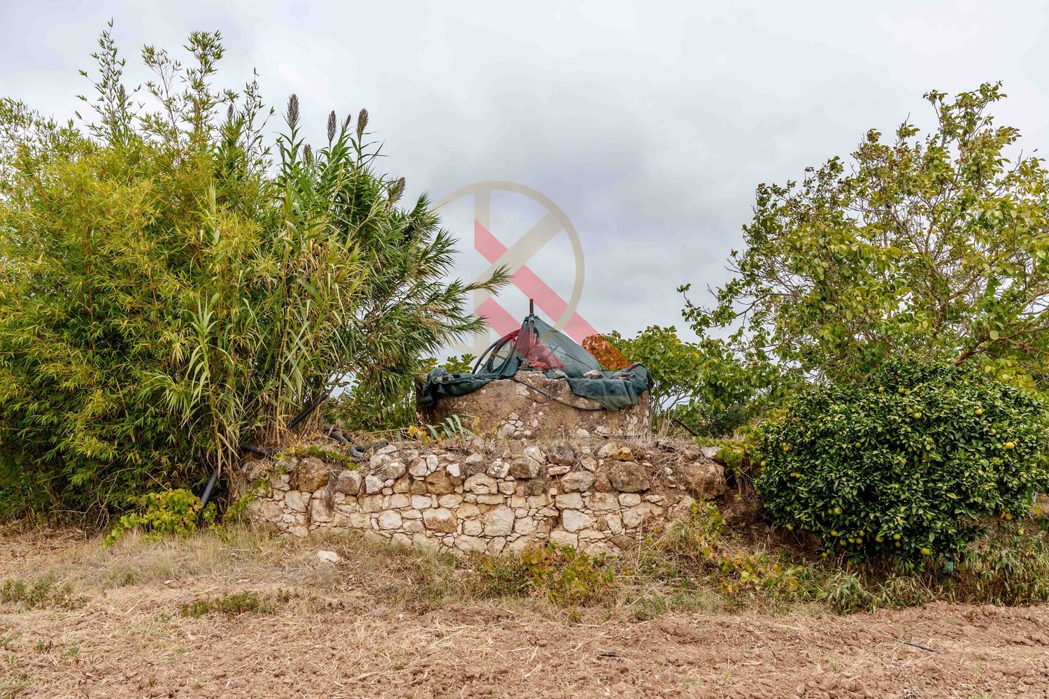 Propriedade à Venda na Figueira