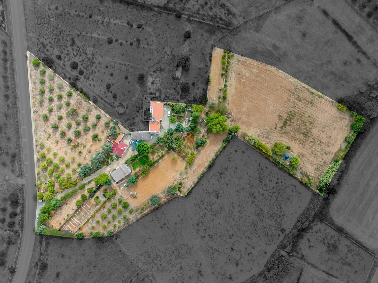 Propriedade à Venda na Figueira