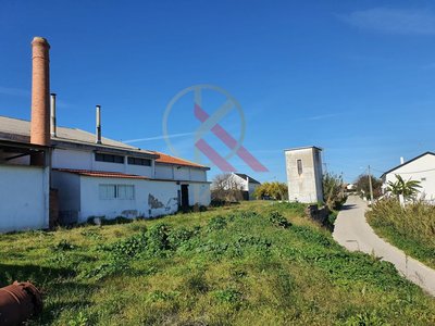 Armazém Industrial/Fábrica para Venda – Oportunidade Única de Investimento!