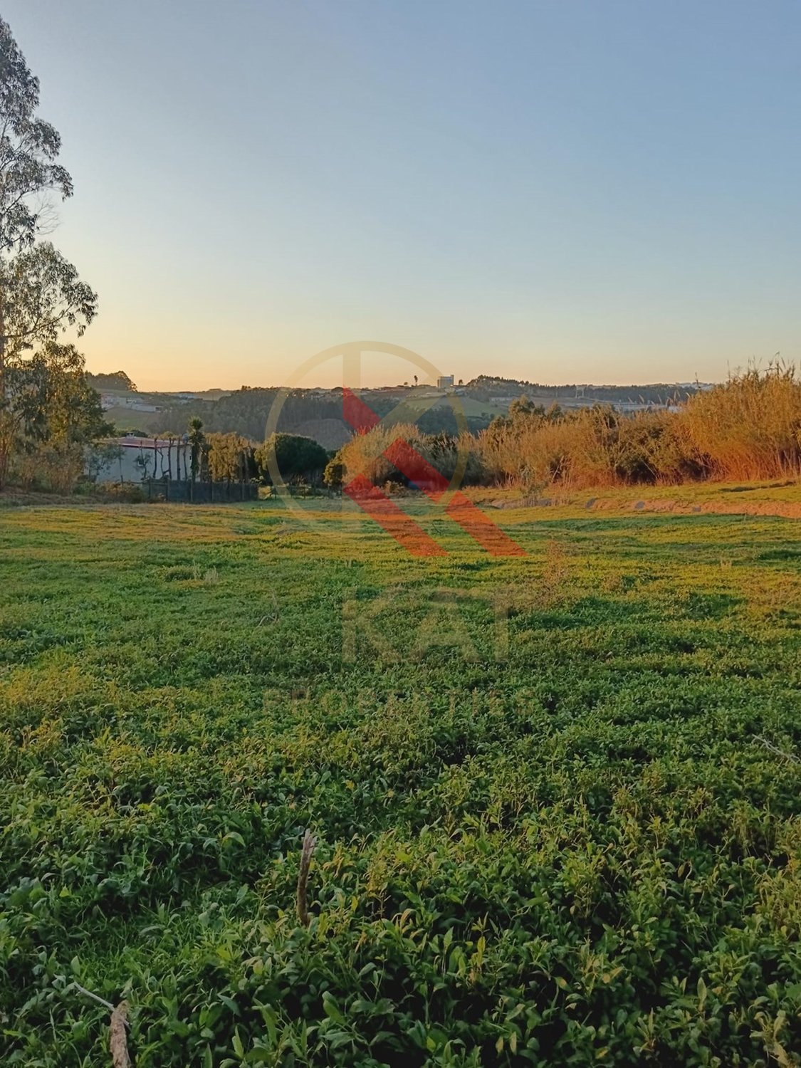 Moradia T4 + 2 Terrenos na Cabeça Gorda, Lourinhã