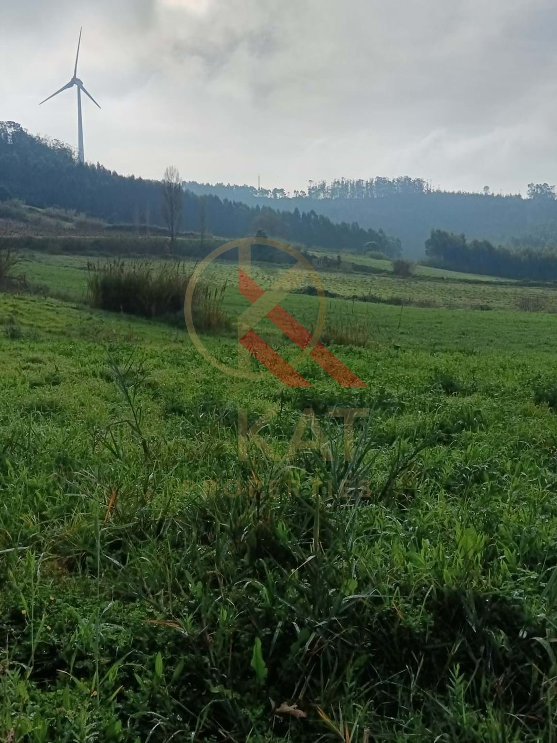 Terreno Industrial com 23.000 m² e localização privilegiada à venda em Torres Vedras 