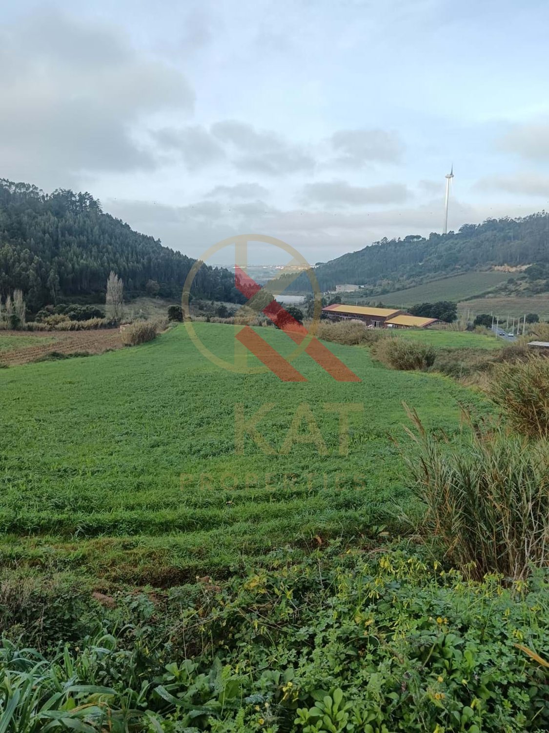 Terreno Industrial com 23.000 m² e localização privilegiada à venda em Torres Vedras 