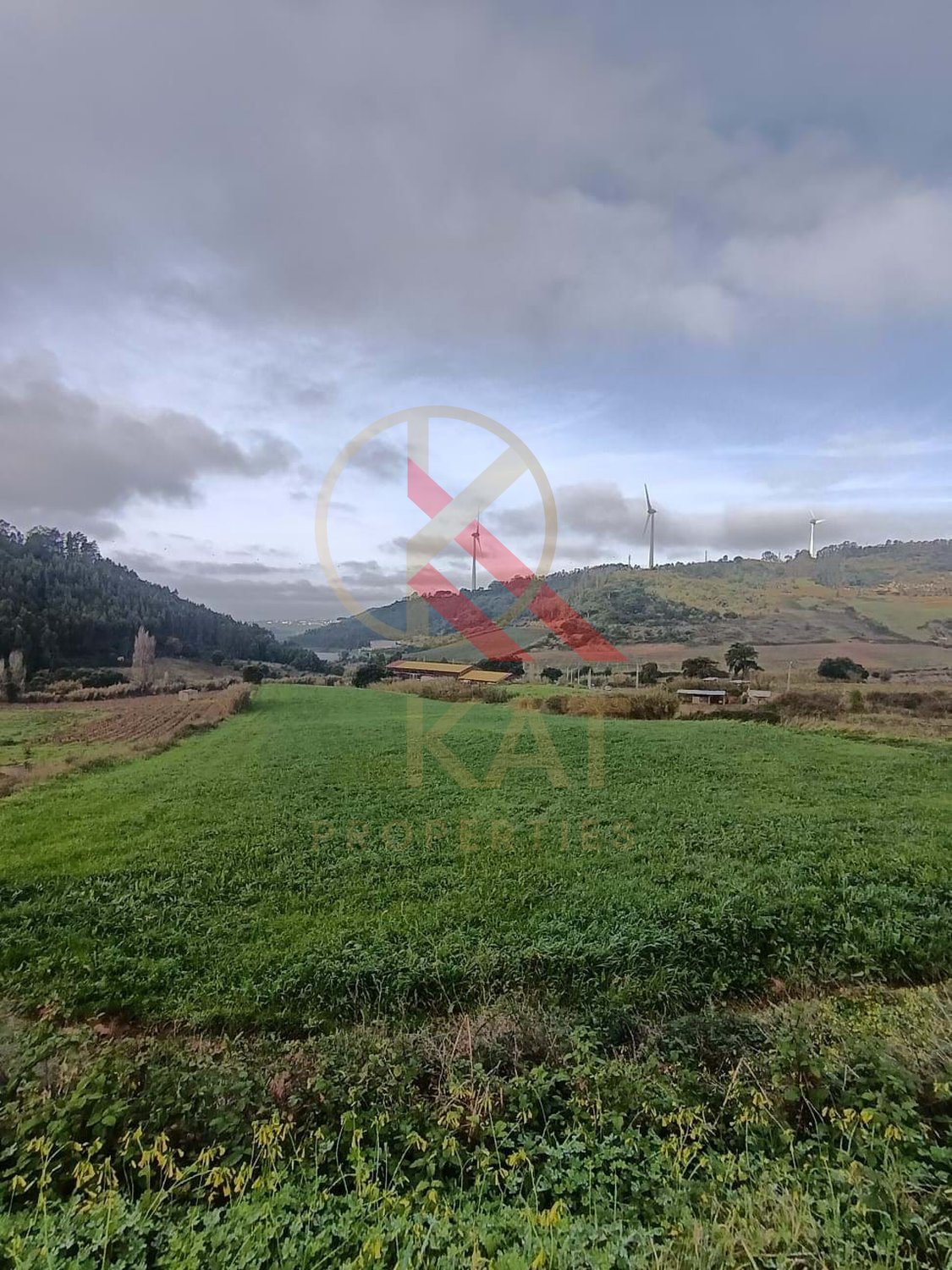 Terreno Industrial com 23.000 m² e localização privilegiada à venda em Torres Vedras 