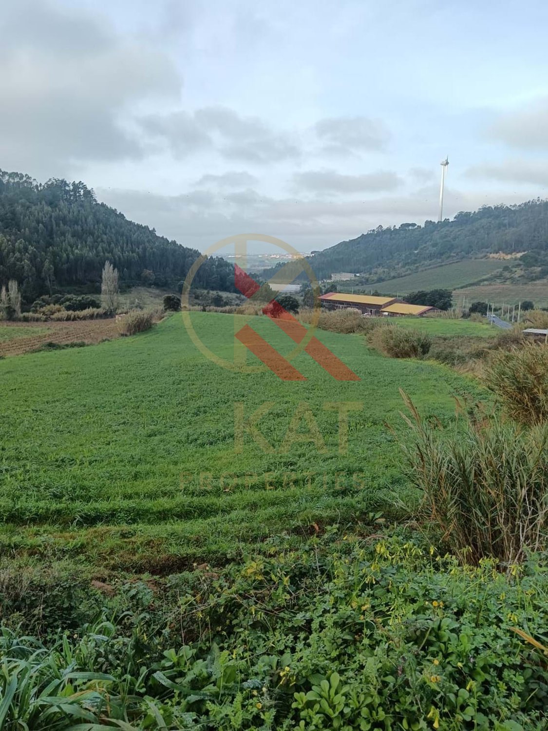 Terreno Industrial com 23.000 m² e localização privilegiada à venda em Torres Vedras 