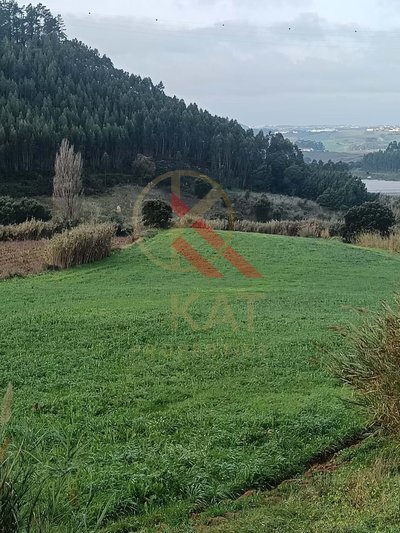 Terreno Industrial com 23.000 m² e localização privilegiada à venda em Torres Vedras 