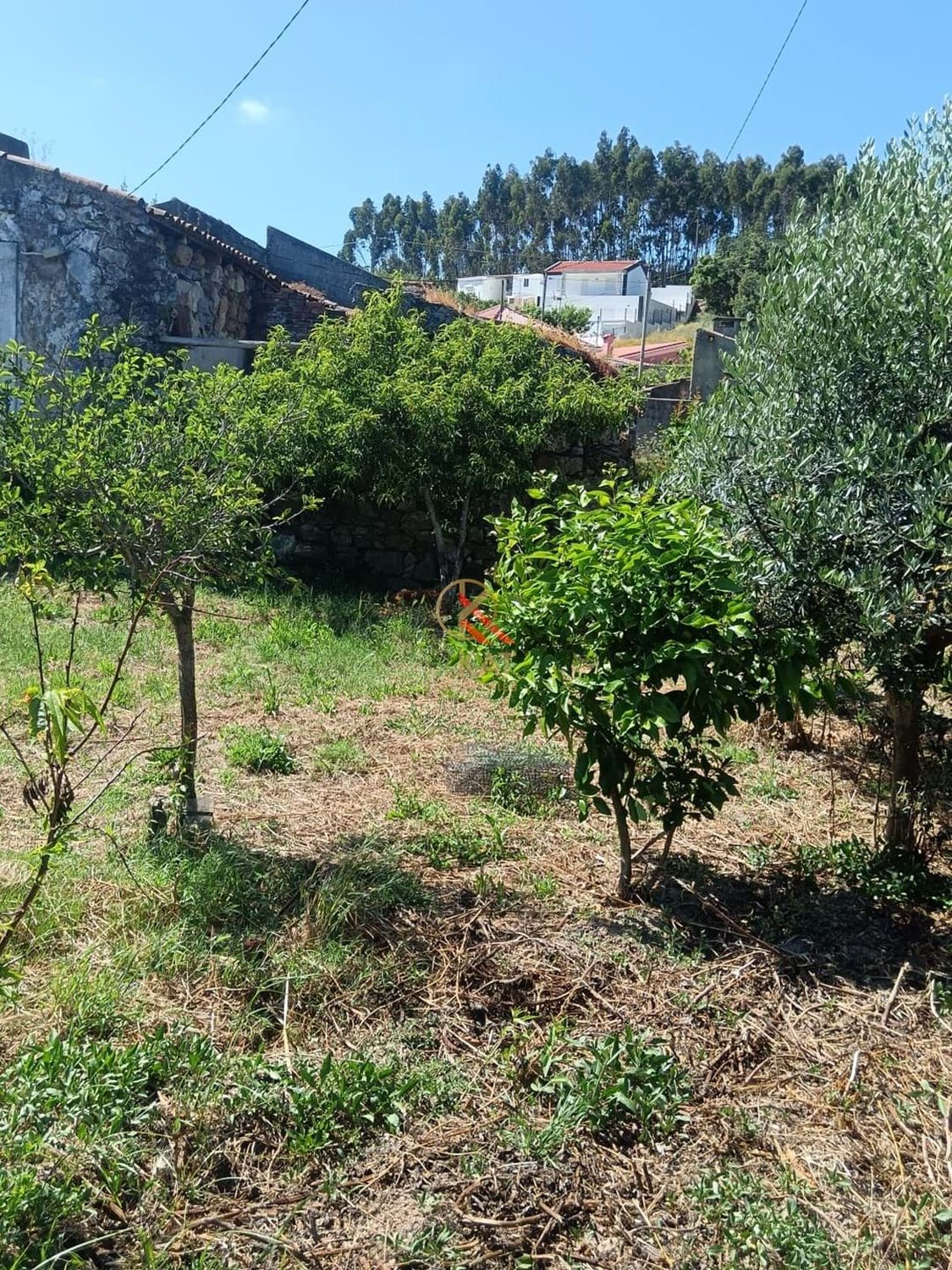 Terreno Urbano à Venda na Freixeira – Loures | 205 m²