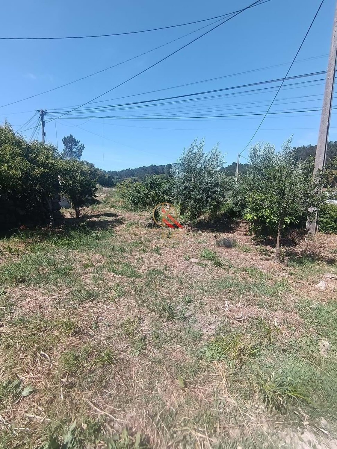 Terreno Urbano à Venda na Freixeira – Loures | 205 m²